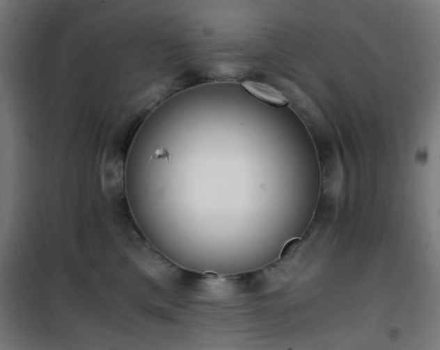X0000101460425200807071435