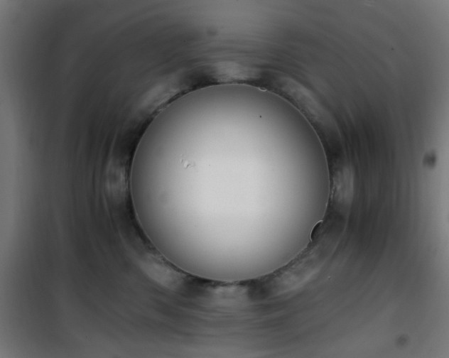 X0000101460426200807071435