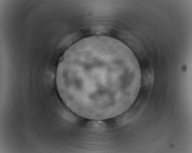 X0000101460427200807071435