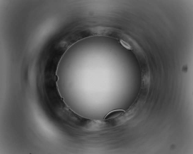 X0000101460429200807071435