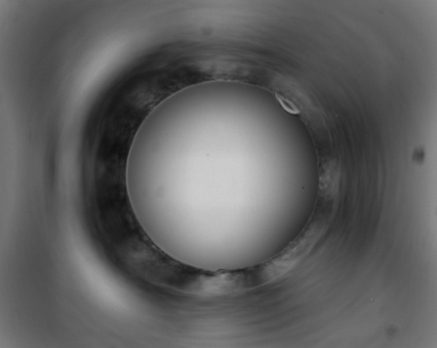 X0000101460430200807071435