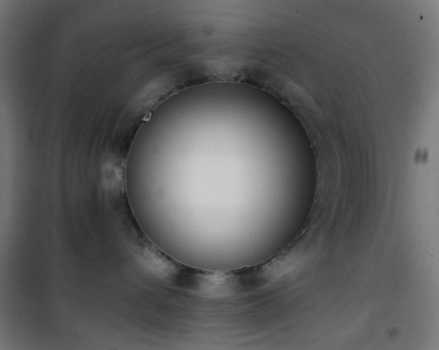 X0000101460432200807071435