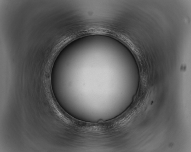 X0000101460433200807071434