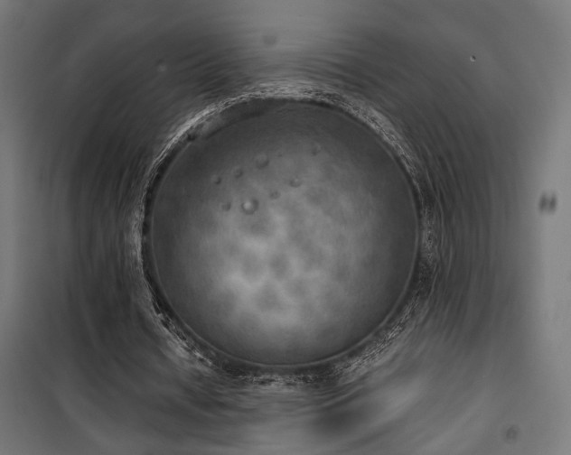X0000101460434200807071434