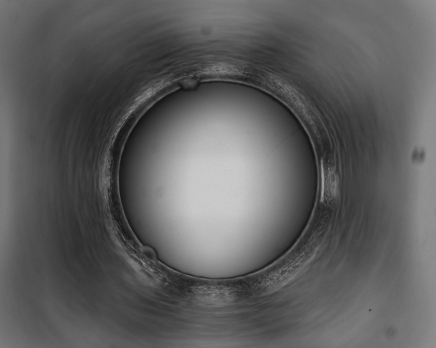 X0000101460435200807071434