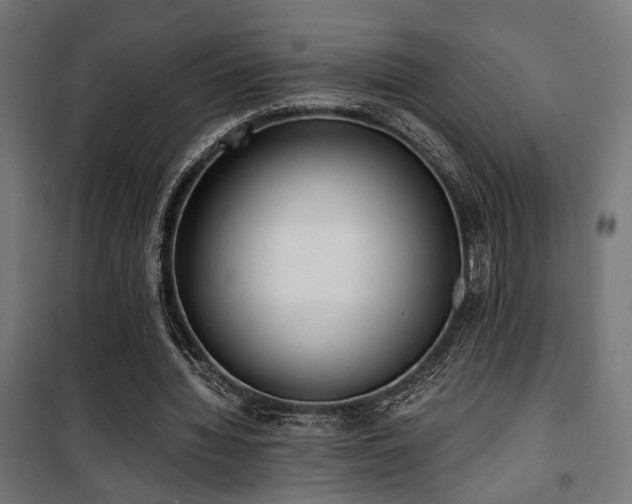 X0000101460436200807071434