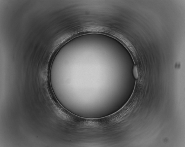 X0000101460437200807071434