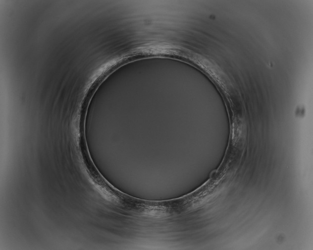 X0000101460438200807071434