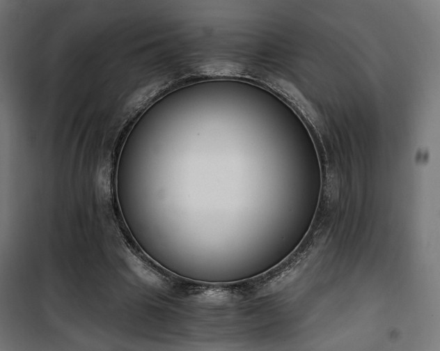X0000101460441200807071434