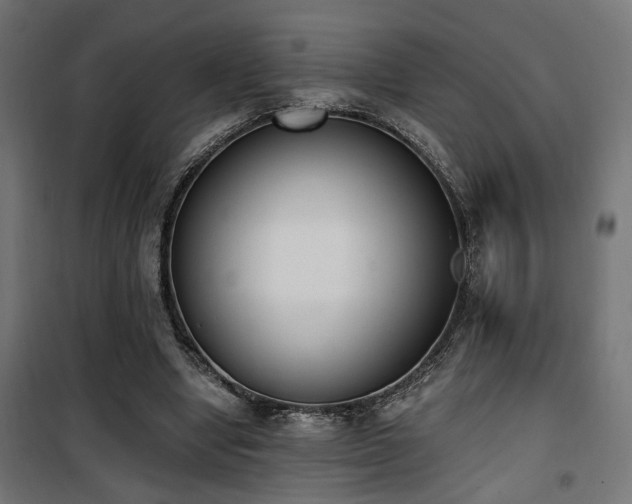 X0000101460442200807071434