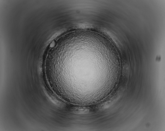 X0000101460443200807071434