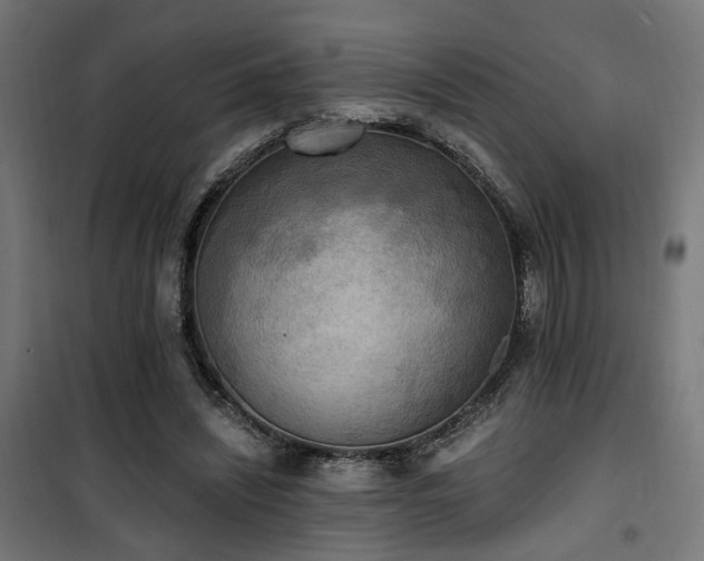 X0000101460444200807071434