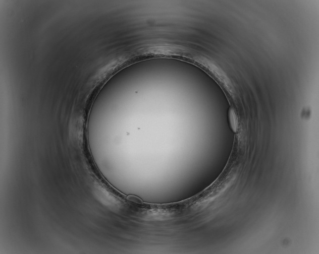 X0000101460445200807071434