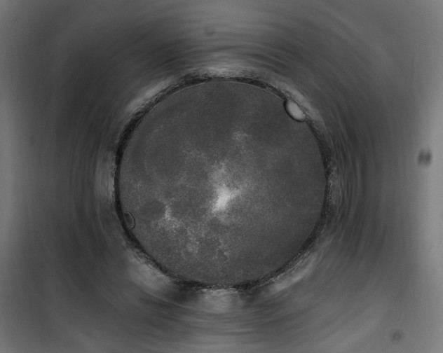 X0000101460446200807071434