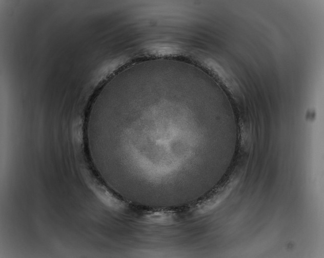 X0000101460447200807071434