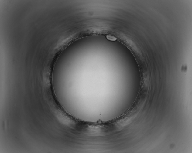 X0000101460450200807071434