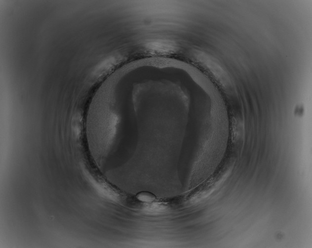 X0000101460451200807071434