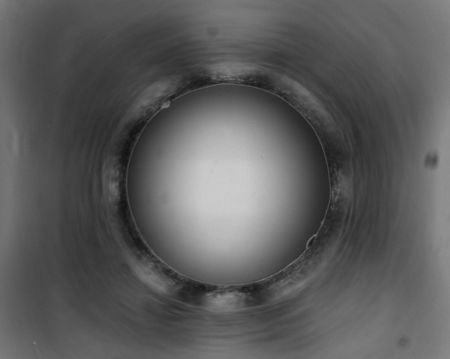 X0000101460452200807071434