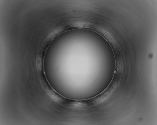 X0000101460453200807071434