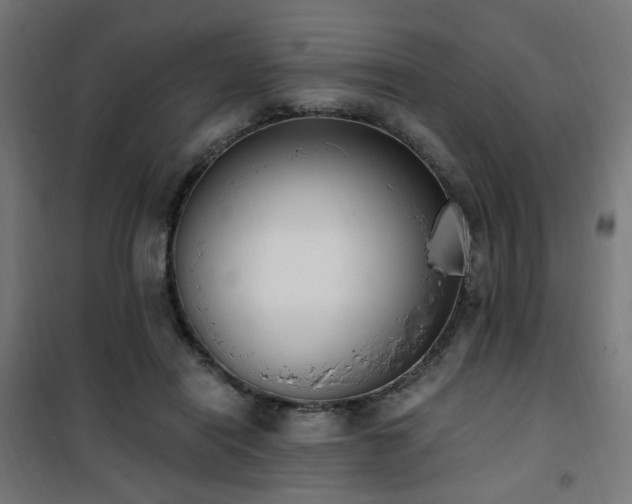 X0000101460454200807071434