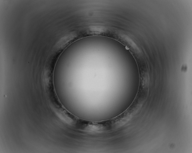 X0000101460455200807071434