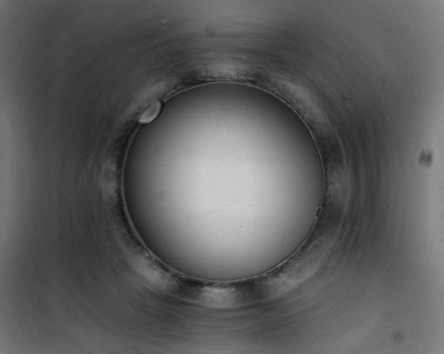 X0000101460457200807071434