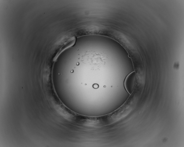X0000101460458200807071434