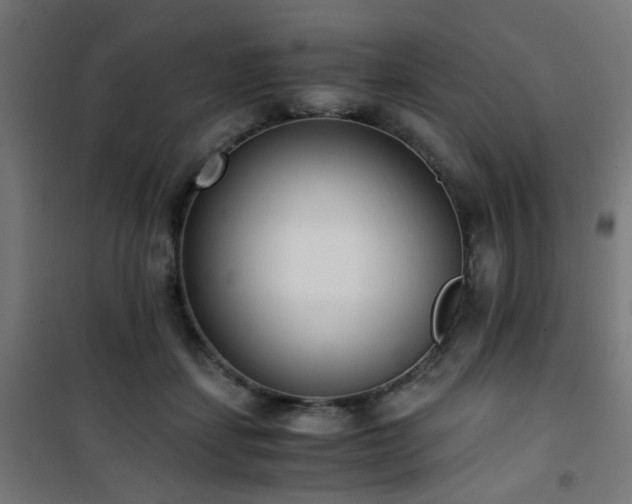 X0000101460459200807071434