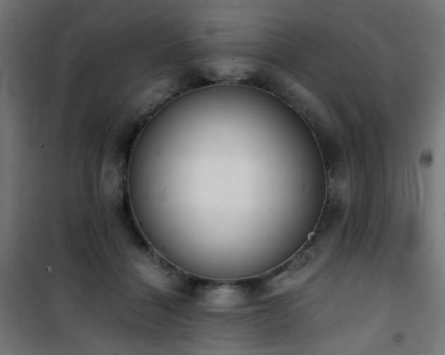 X0000101460460200807071435