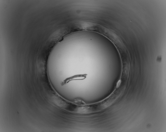X0000101460461200807071435