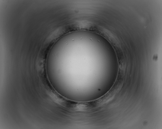X0000101460462200807071435