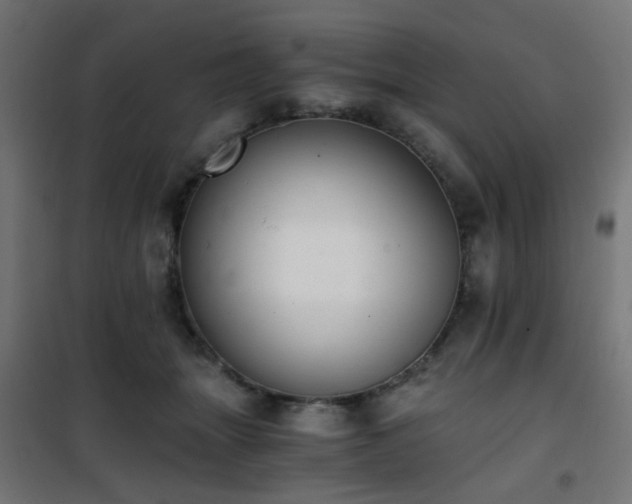X0000101460463200807071435