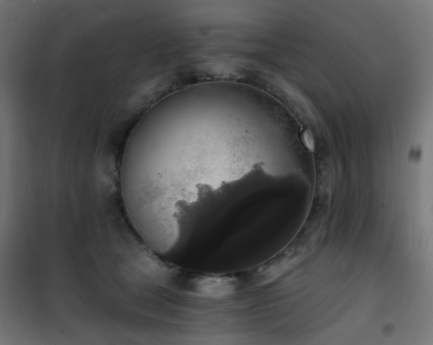X0000101460465200807071435