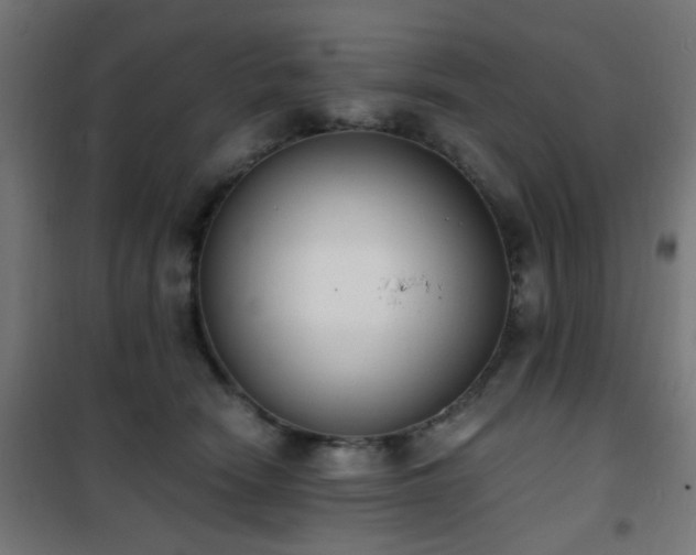 X0000101460466200807071435