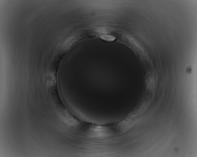 X0000101460467200807071435