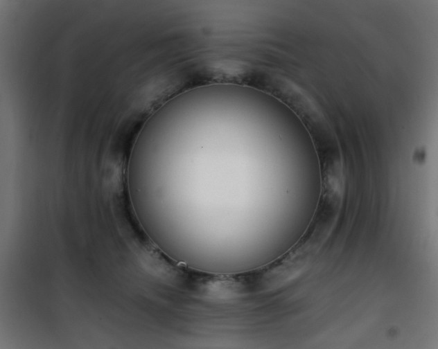 X0000101460468200807071435