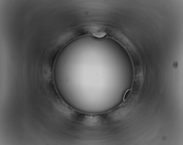 X0000101460469200807071435