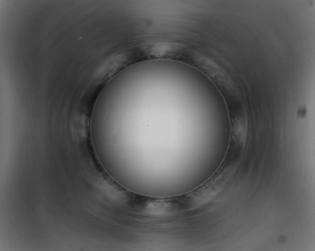 X0000101460470200807071435