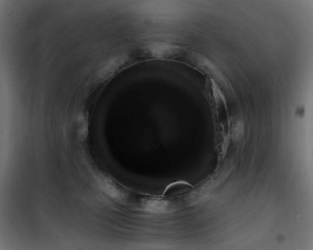 X0000101460471200807071435