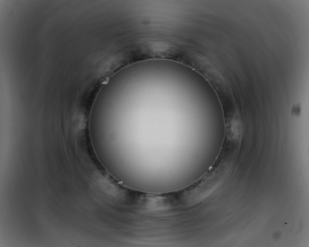 X0000101460472200807071435