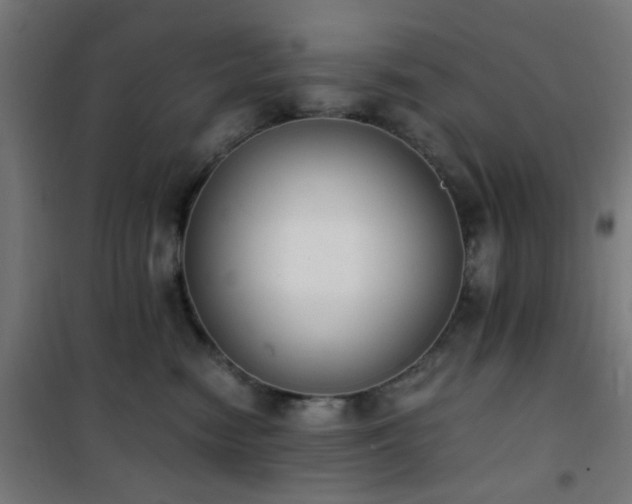 X0000101460474200807071435
