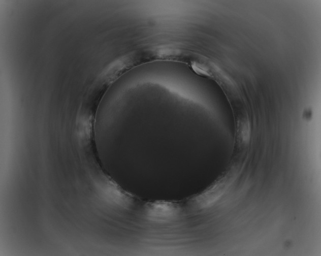 X0000101460475200807071435