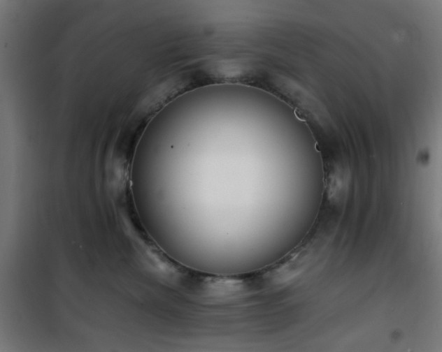 X0000101460476200807071435
