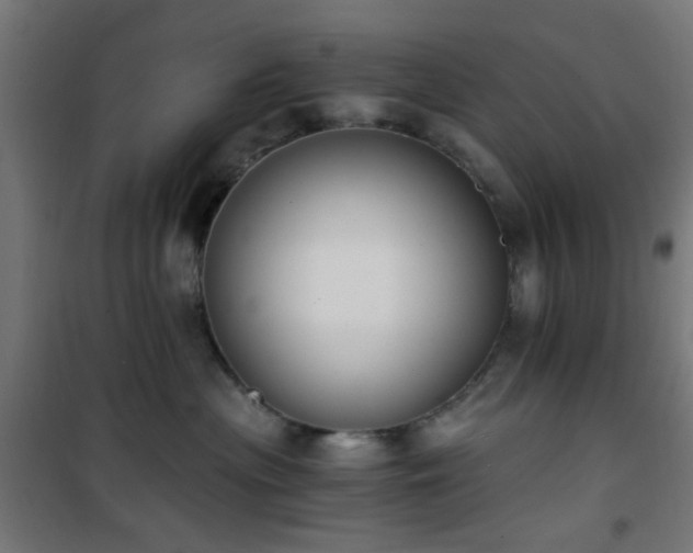 X0000101460477200807071435