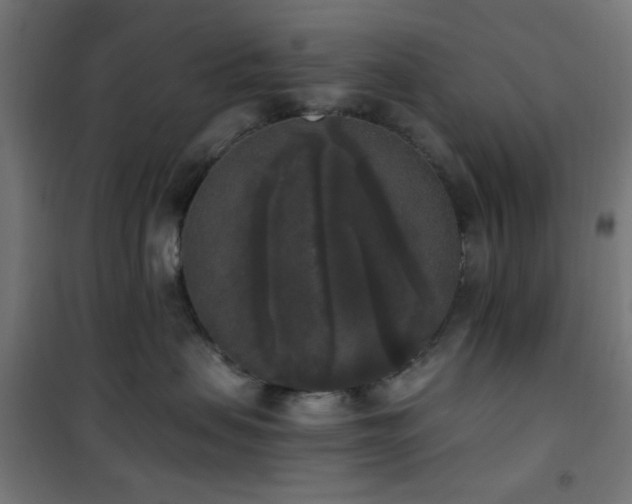 X0000101460479200807071435