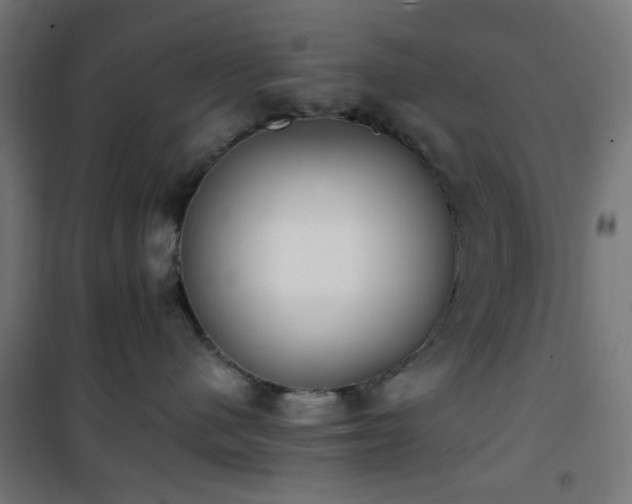 X0000101460480200807071435