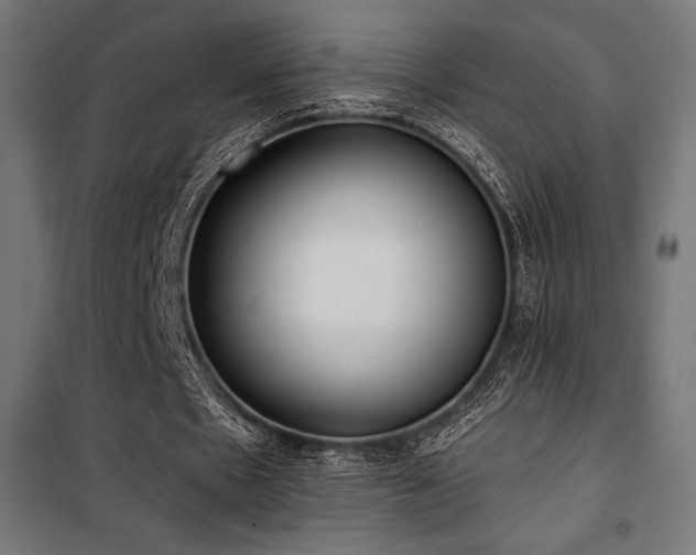 X0000101460481200807071434