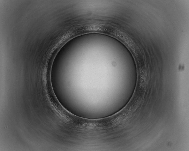 X0000101460482200807071434