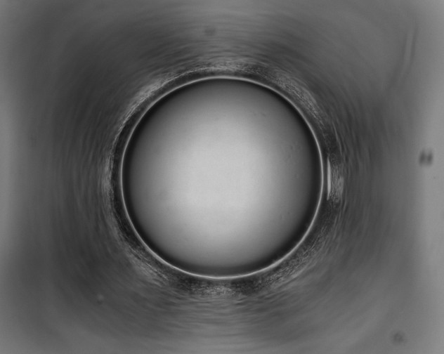 X0000101460483200807071434