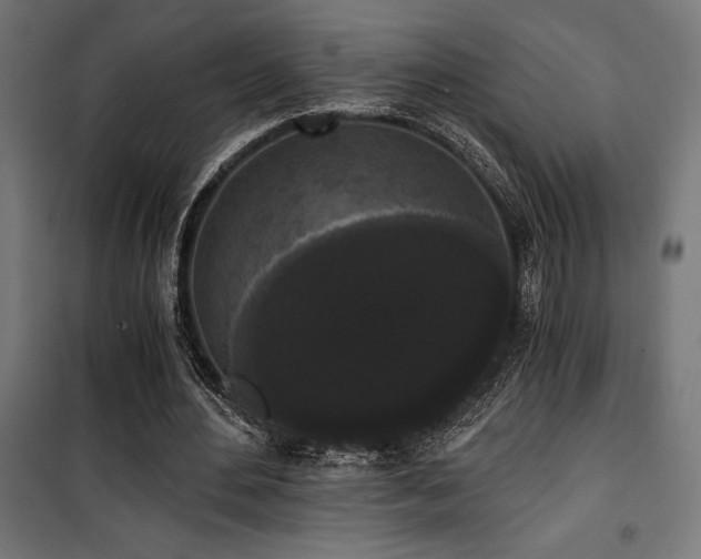 X0000101460484200807071434